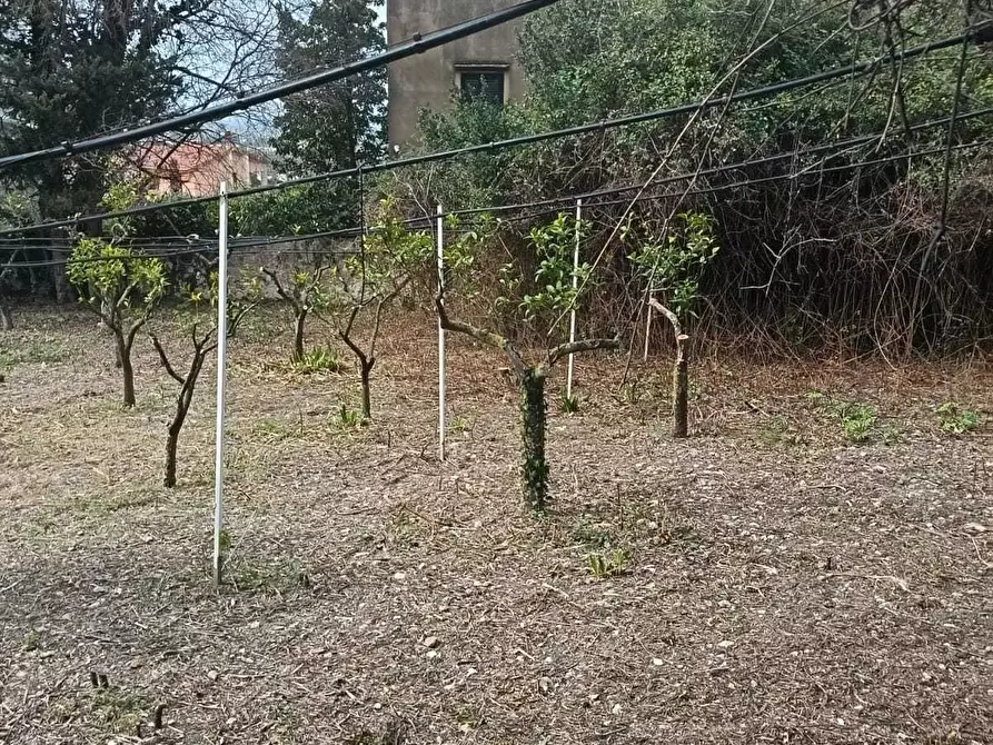 Immagine 63 di Villa in vendita  a Valderice