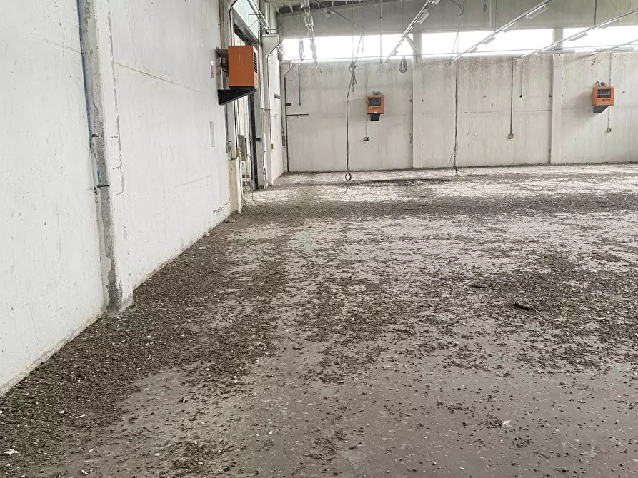 Immagine 15 di Capannone industriale in affitto  in VIA BRODOLINI 5 a Casalpusterlengo