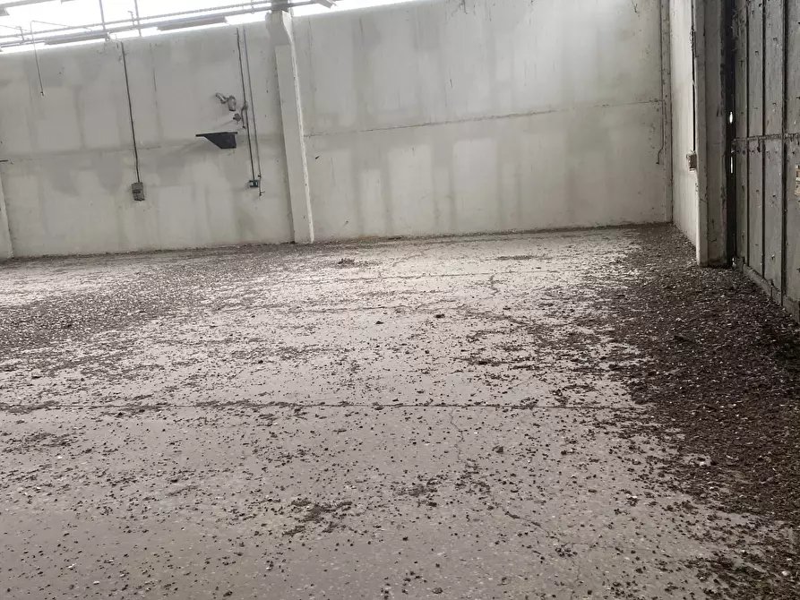 Immagine 11 di Capannone industriale in affitto  in VIA BRODOLINI 5 a Casalpusterlengo