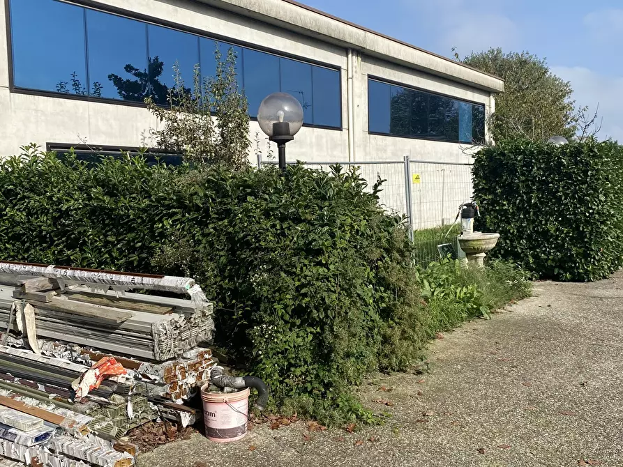 Immagine 19 di Capannone industriale in vendita  in VIA EINAUDI 2 a Codogno