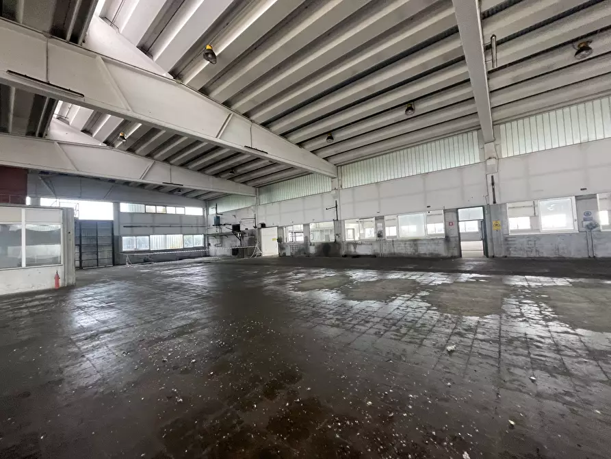 Immagine 23 di Capannone industriale in vendita  in Via Po 2 a Codogno