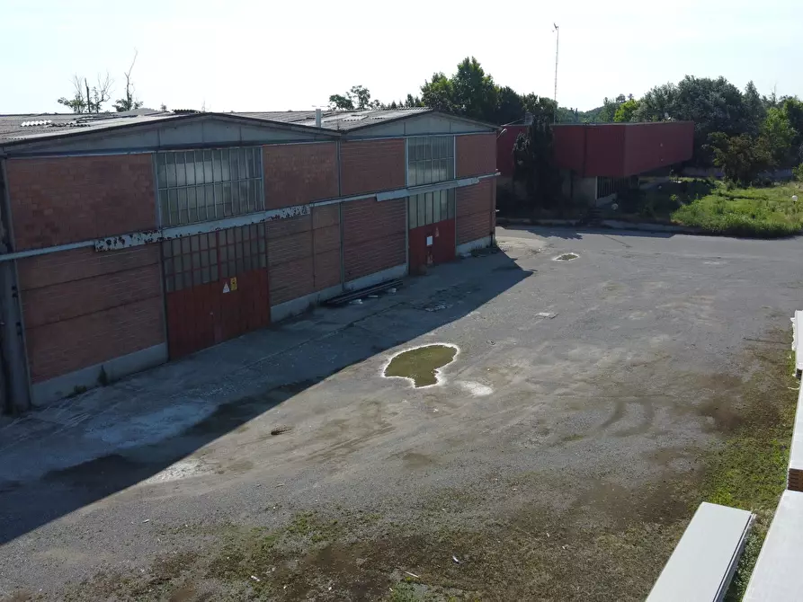 Immagine 10 di Capannone industriale in affitto  in strada Provinciale 26 20 a San Martino In Strada