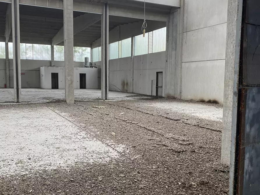 Immagine 17 di Capannone industriale in affitto  in VIA BRODOLINI 5 a Casalpusterlengo