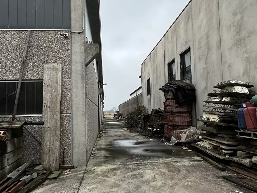 Immagine 11 di Capannone industriale in vendita  in Loc. Prado - Strada Paiola a Cura Carpignano