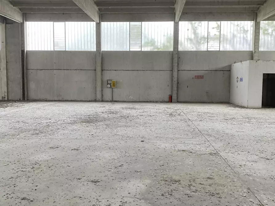 Immagine 18 di Capannone industriale in affitto  in VIA BRODOLINI 5 a Casalpusterlengo
