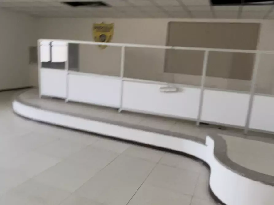 Immagine 3 di Capannone industriale in vendita  in Via Walter Tobagi 11 a San Cipriano Po