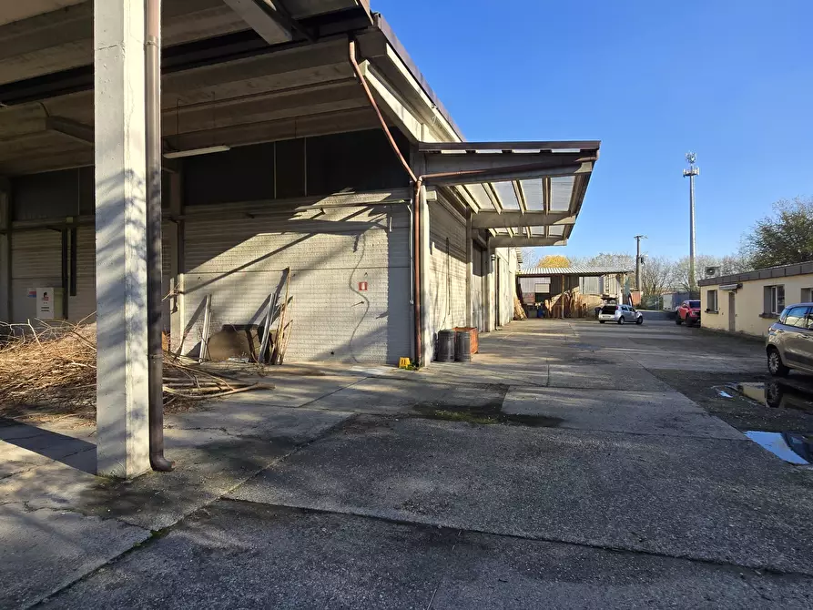 Immagine 3 di Capannone industriale in vendita  in Via delle Regone a San Colombano Al Lambro