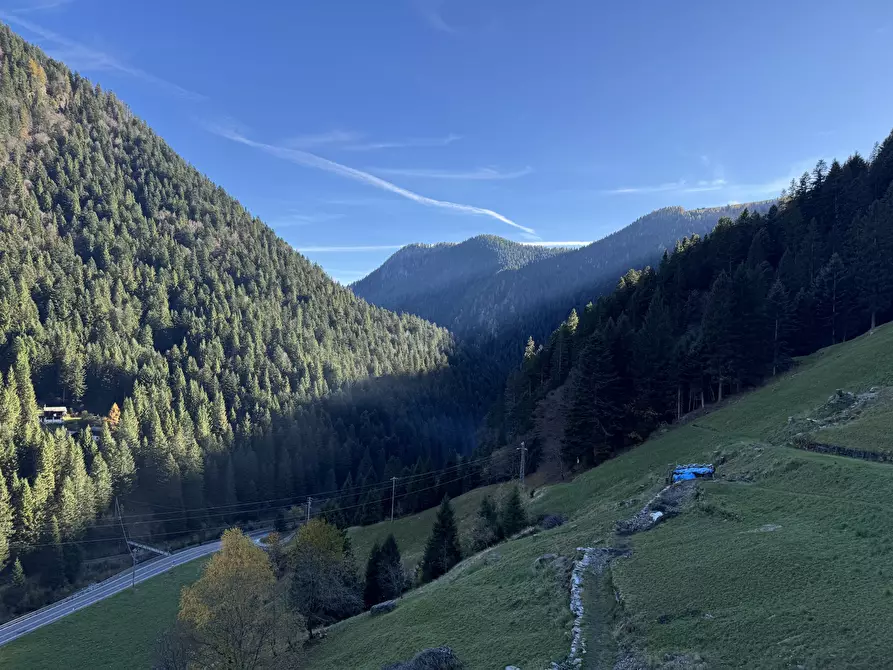 Immagine 5 di Locale commerciale in vendita  in Località Castello 4 a Mezzoldo