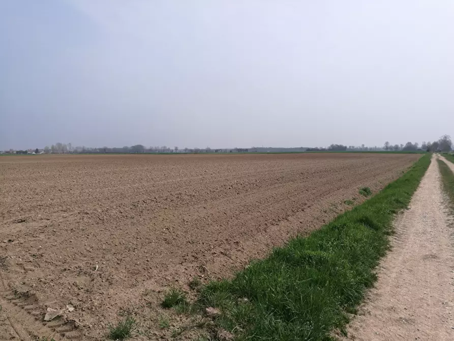 Immagine 1 di Terreno agricolo in vendita  in VIA DOSSI SUPERIORI a Gussola