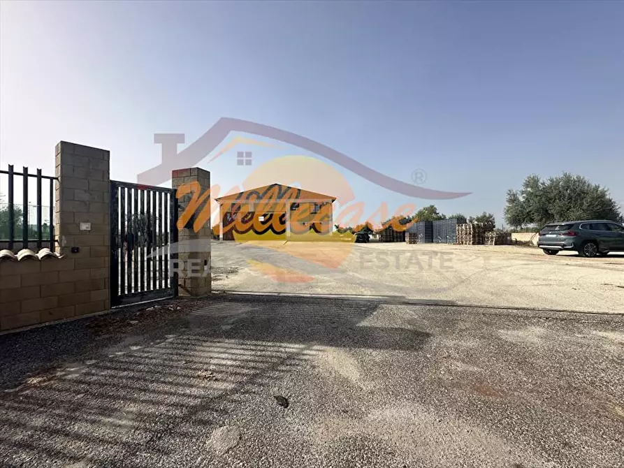 Immagine 22 di Attività artigianale in vendita  in Via Elorina a Siracusa