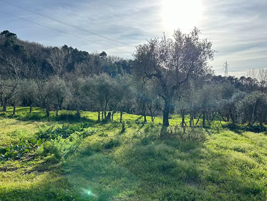 Immagine 7 di Rustico / casale in vendita  a Castelnuovo Magra
