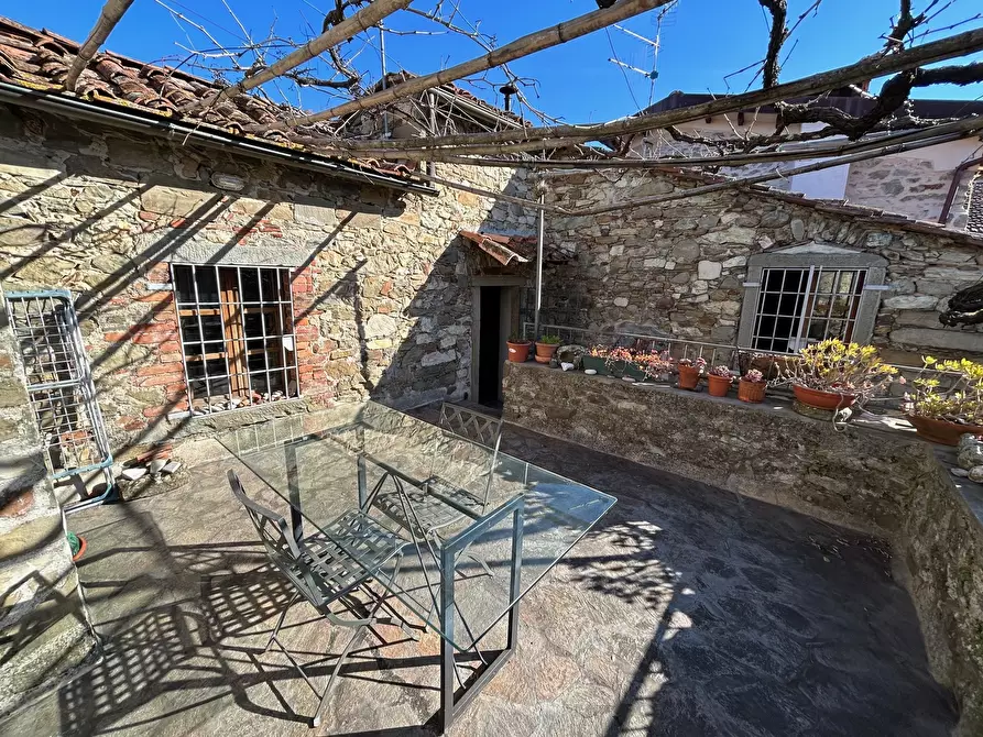 Immagine 49 di Terratetto in vendita  in Località Luscignano 18 a Casola In Lunigiana
