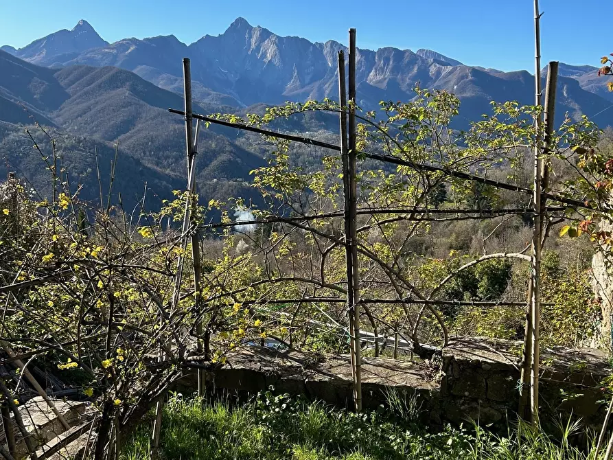Immagine 21 di Casa indipendente in vendita  in Località Luscignano 18 a Casola In Lunigiana