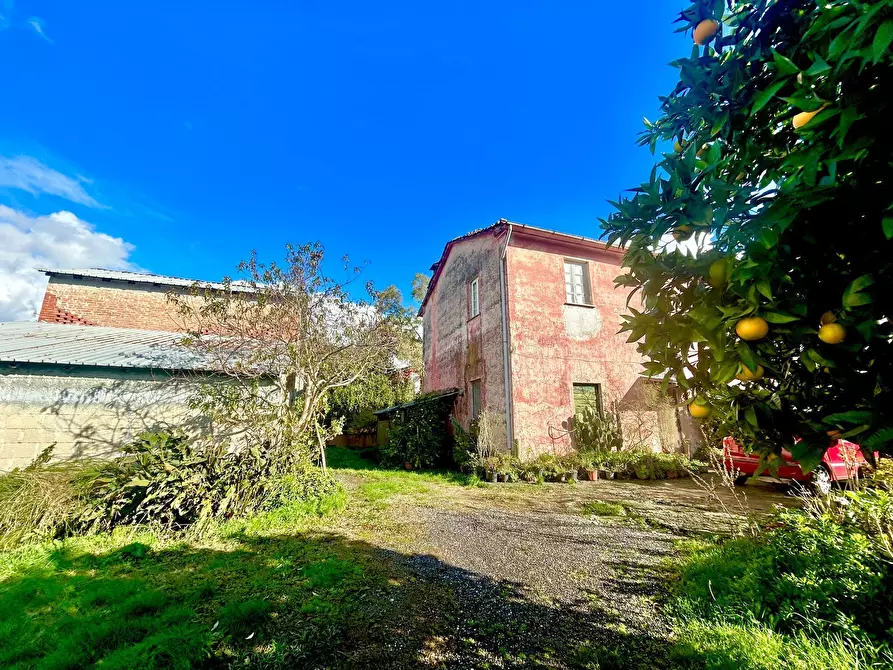 Immagine 1 di Rustico / casale in vendita  a Sarzana