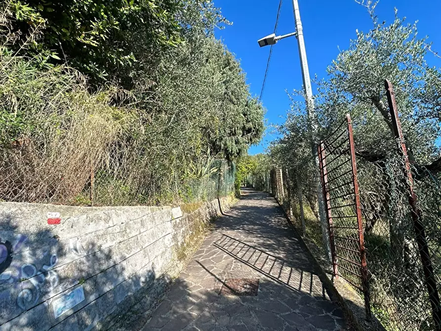 Immagine 5 di Terreno agricolo in vendita  in Via Giuseppe Garibaldi 51 a Lerici