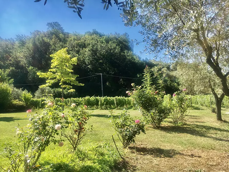 Immagine 22 di Agriturismo in vendita  a Castelnuovo Magra