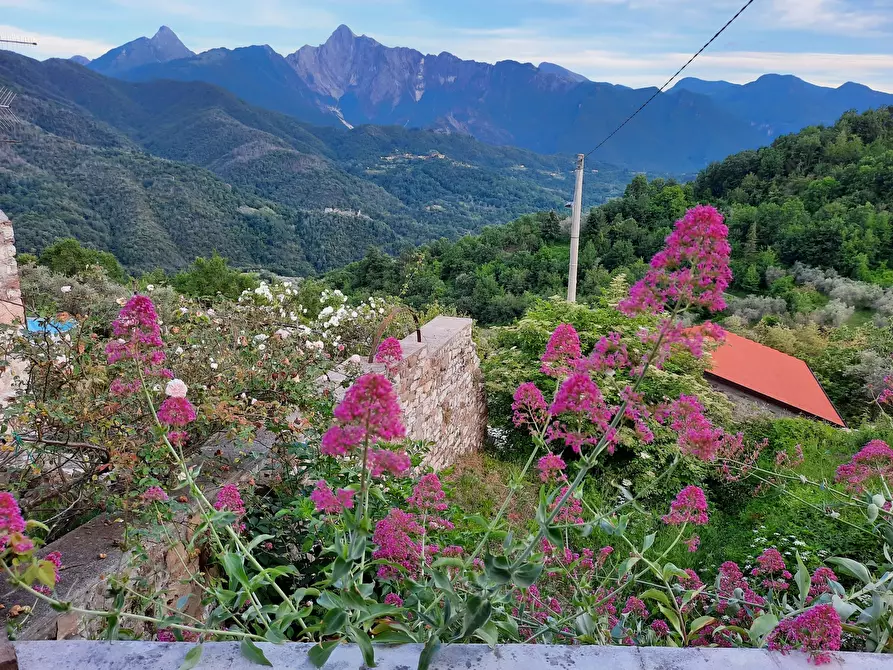 Immagine 51 di Casa indipendente in vendita  in Località Luscignano 18 a Casola In Lunigiana