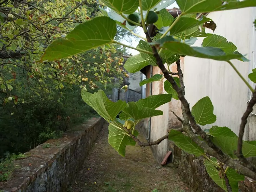 Immagine 73 di Villa in vendita  a Sarzana