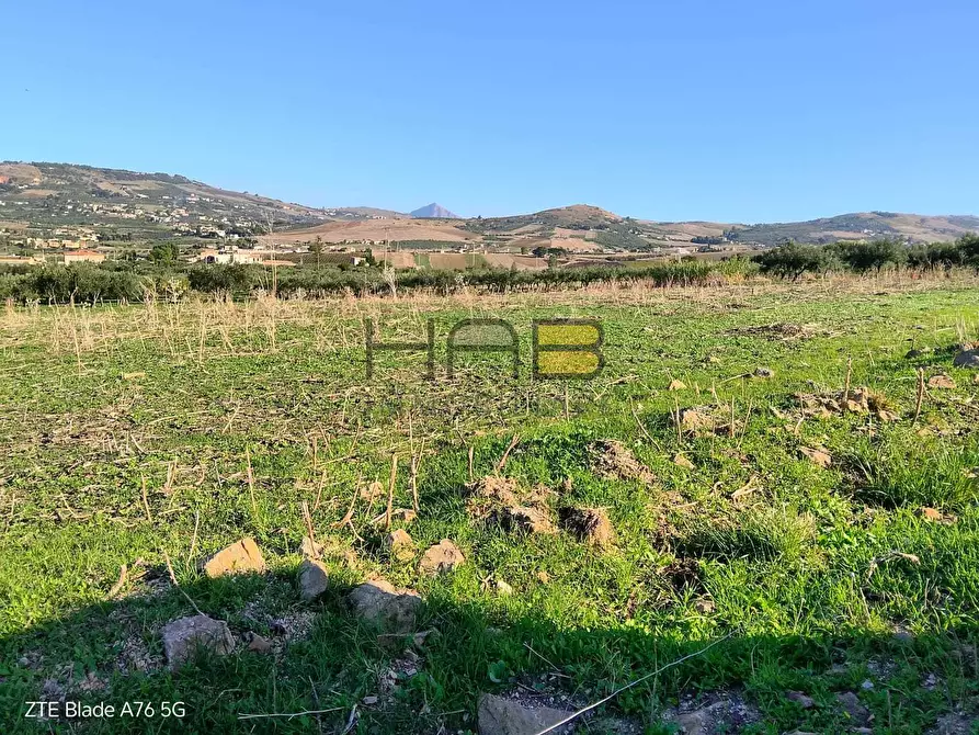 Immagine 4 di Terreno agricolo in vendita  a Valderice