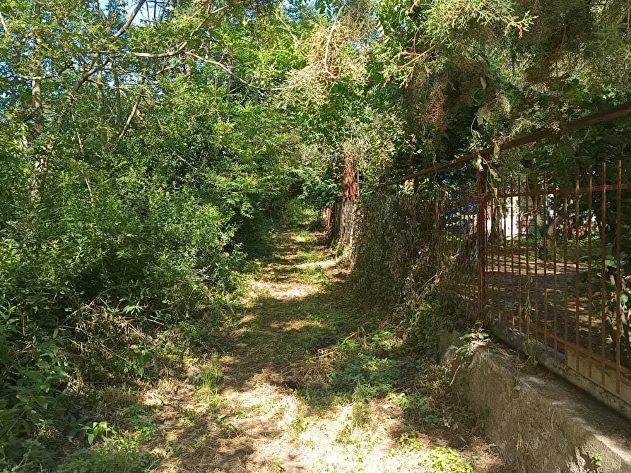 Immagine 3 di Terreno agricolo in vendita  in via torquato tasso a Castel San Giorgio