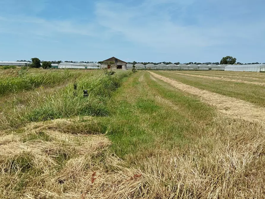 Immagine 4 di Terreno agricolo in vendita  in via bernardo tanucci a Eboli