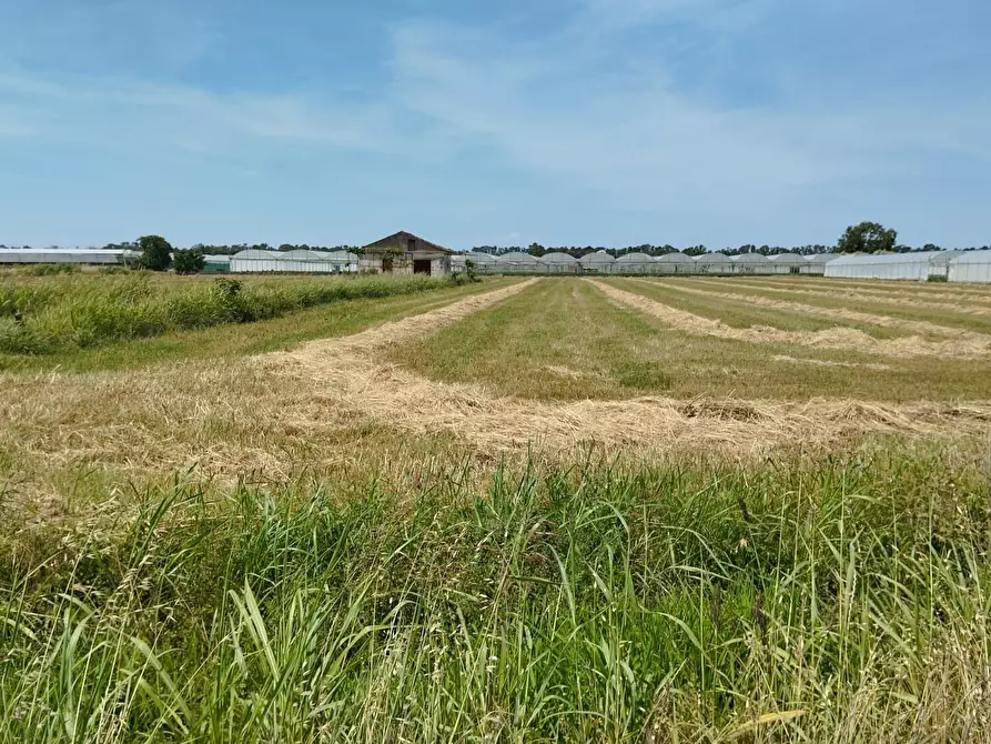 Immagine 6 di Terreno agricolo in vendita  in via bernardo tanucci a Eboli