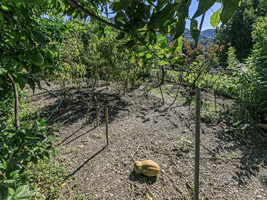 Immagine 68 di Pentalocale in vendita  in Via Costigliolo a Mignanego