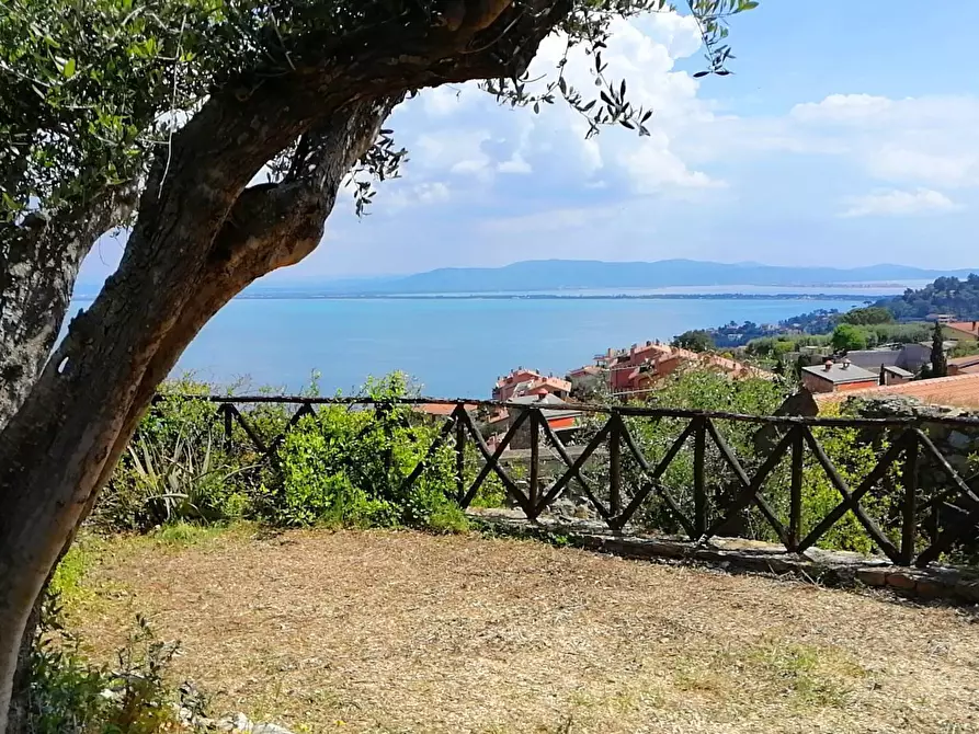 Immagine 22 di Appartamento in vendita  a Monte Argentario