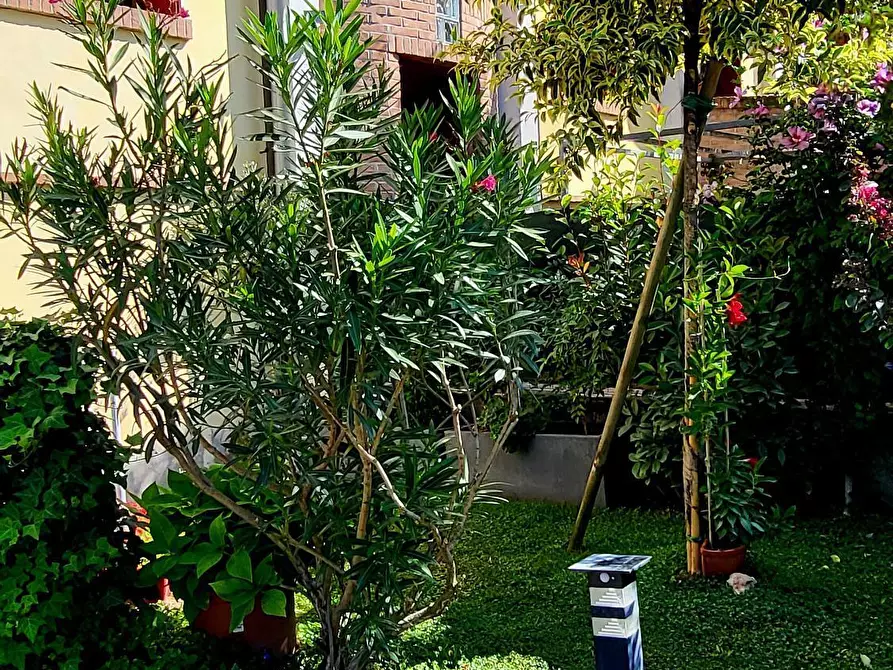 Immagine 29 di Trilocale in vendita  in Via F. Frati 1 a Sissa Trecasali