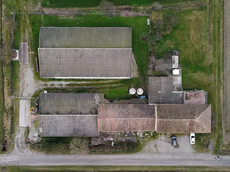 Immagine 2 di Azienda agricola in vendita  in Via al Serraglio 35 a Colorno