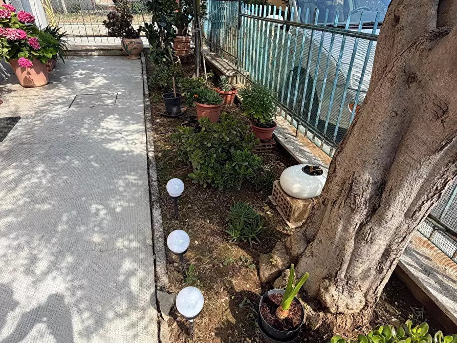 Immagine 6 di Quadrilocale in vendita  in Via XXV Aprile a Senigallia