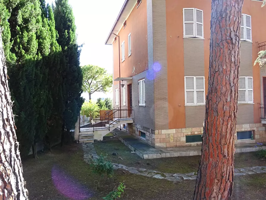 Immagine 5 di Villa in vendita  a Corinaldo