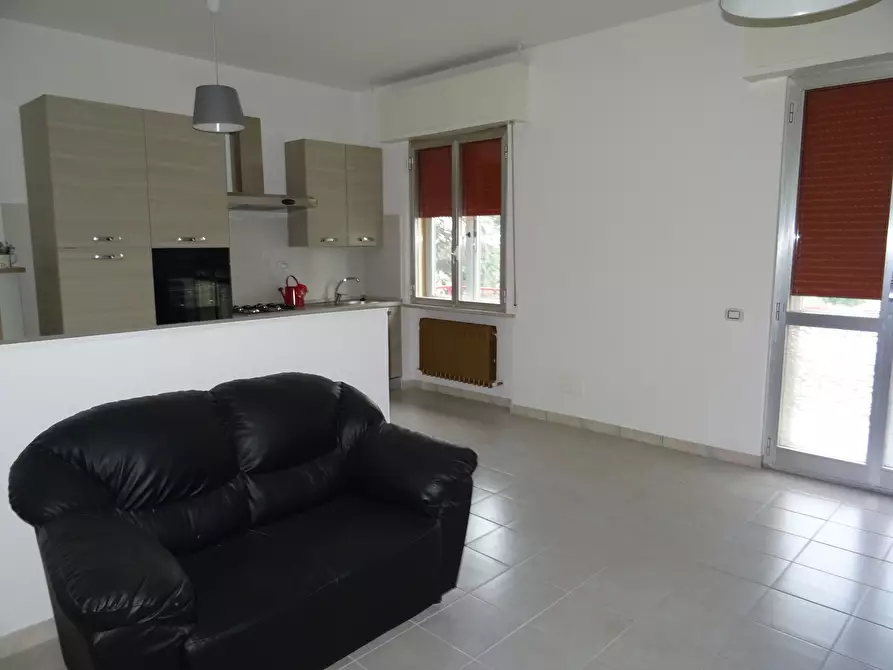 Immagine 19 di Casa indipendente in vendita  a Trecastelli