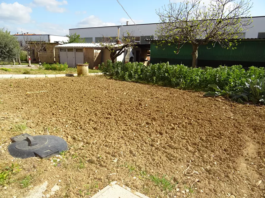 Immagine 19 di Appartamento in vendita  a Trecastelli