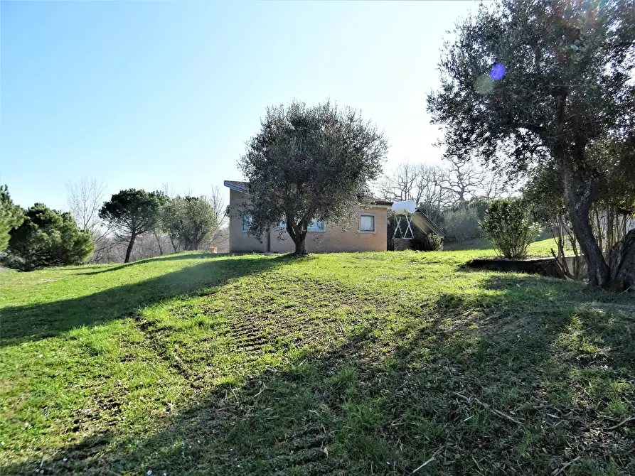 Immagine 19 di Terreno agricolo in vendita  a Senigallia