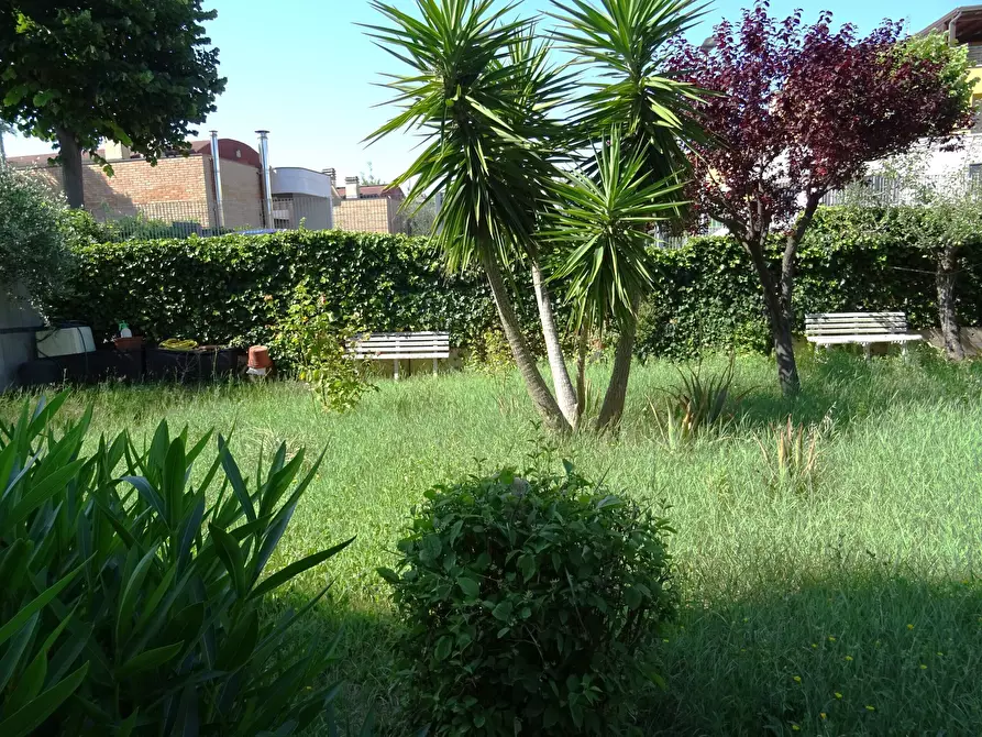 Immagine 17 di Quadrilocale in vendita  a Senigallia