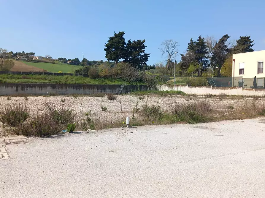 Immagine 1 di Terreno industriale in vendita  a Senigallia