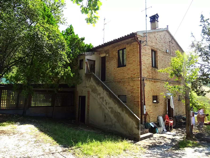 Immagine 18 di Rustico / casale in vendita  a Ostra Vetere