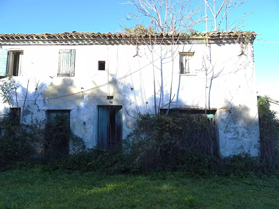 Immagine 4 di Rustico / casale in vendita  a Senigallia