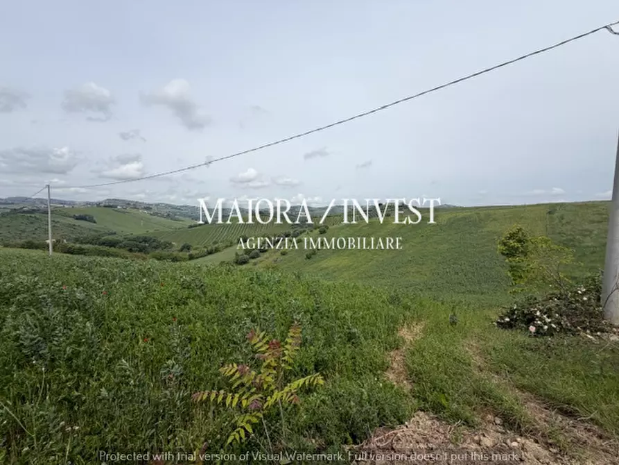 Immagine 11 di Rustico / casale in vendita  a Acquaviva Picena