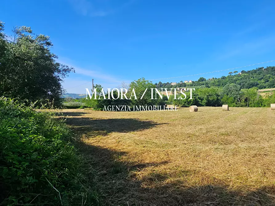 Immagine 10 di Terreno agricolo in vendita  in Contrada Pianelle a Monsampolo Del Tronto