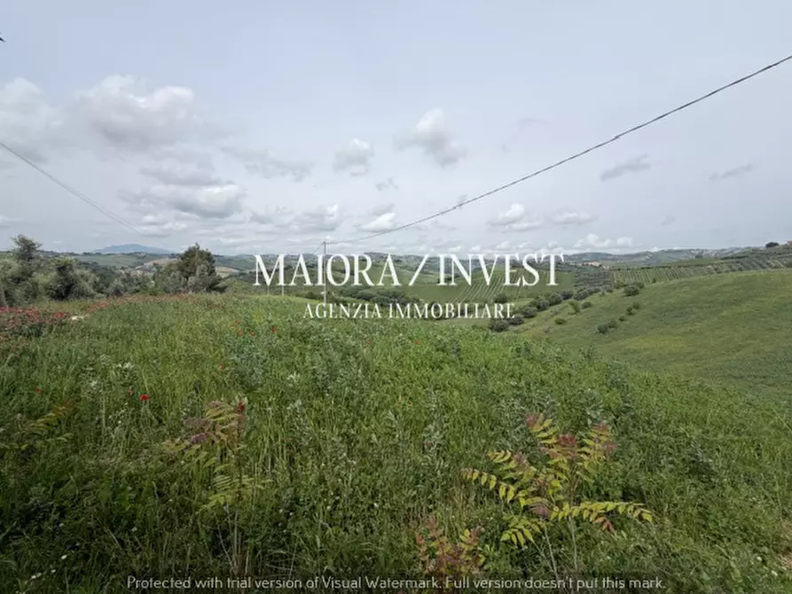 Immagine 12 di Rustico / casale in vendita  a Acquaviva Picena