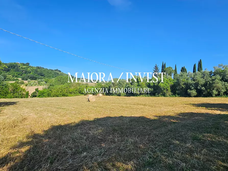 Immagine 6 di Rustico / casale in vendita  in Contrada Pianelle a Monsampolo Del Tronto