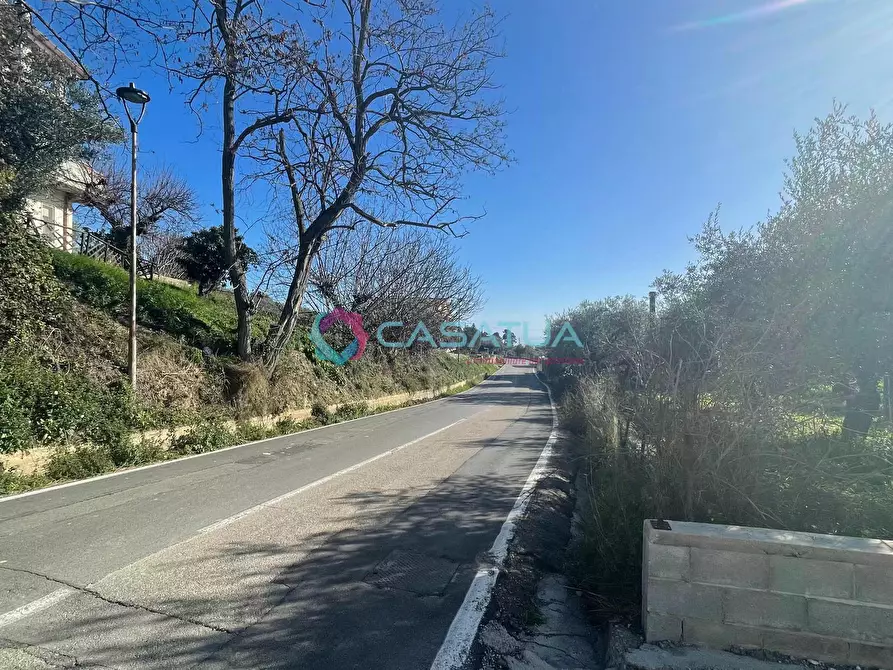 Immagine 38 di Terreno agricolo in vendita  a Silvi