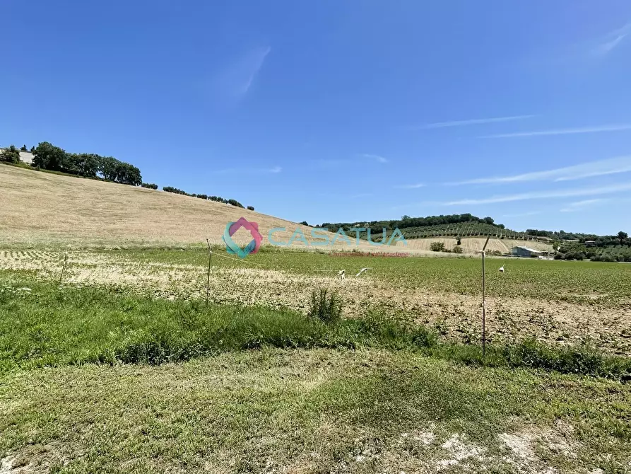 Immagine 42 di Villa in vendita  a Castellalto