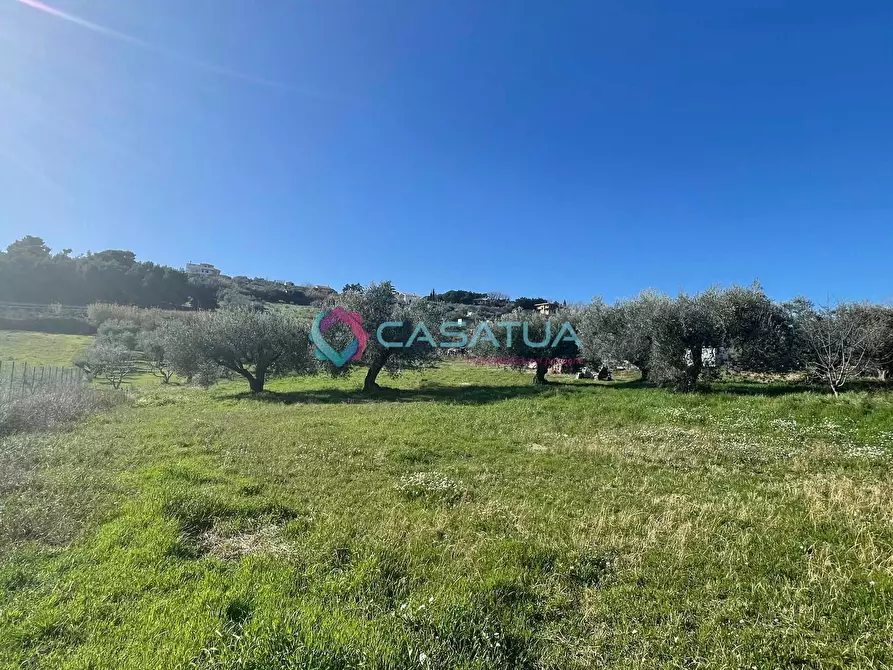 Immagine 18 di Terreno agricolo in vendita  a Silvi