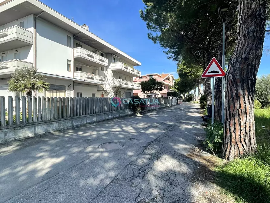 Immagine 29 di Locale commerciale in vendita  a Pineto