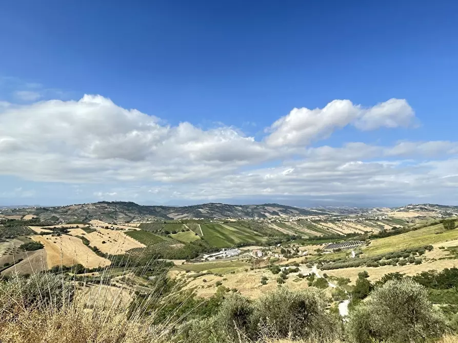 Immagine 7 di Terreno agricolo in vendita  a Silvi