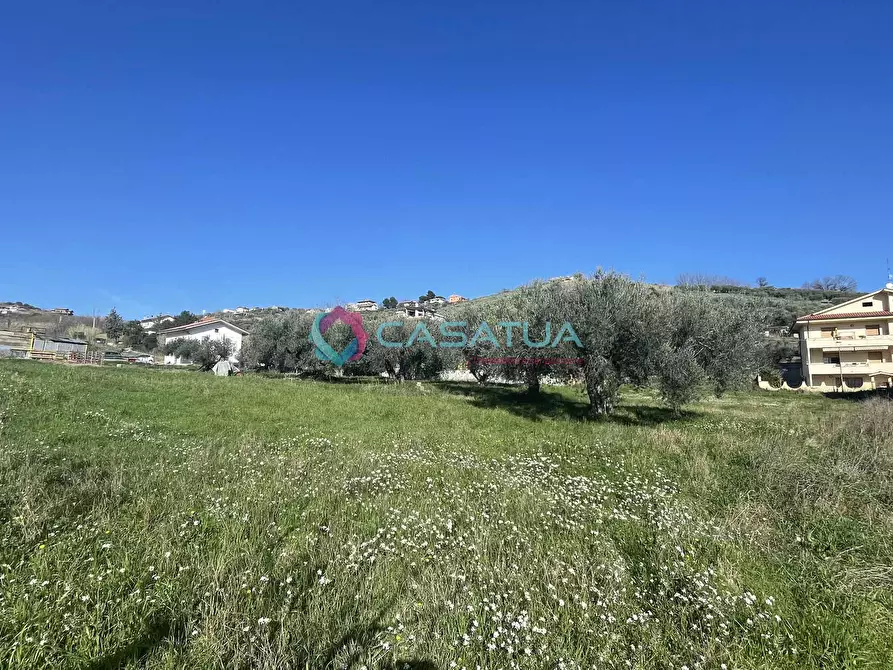 Immagine 11 di Terreno agricolo in vendita  a Silvi