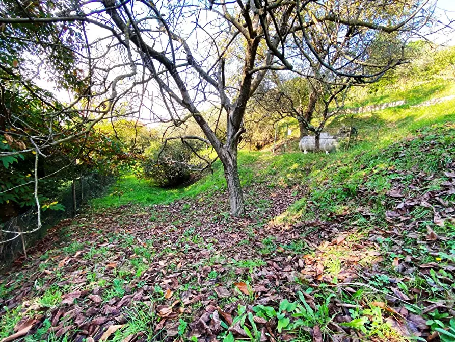 Immagine 19 di Villa in vendita  in Via Ghigliolo Alto 26 a Sarzana